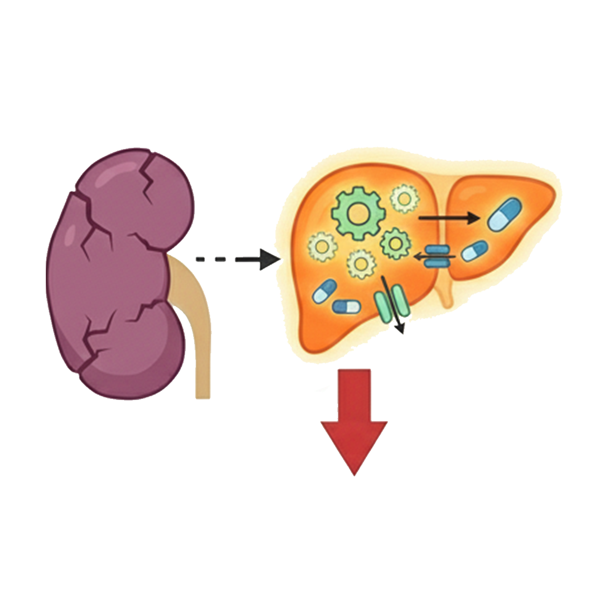 Effect of CKD on nonrenal clearance