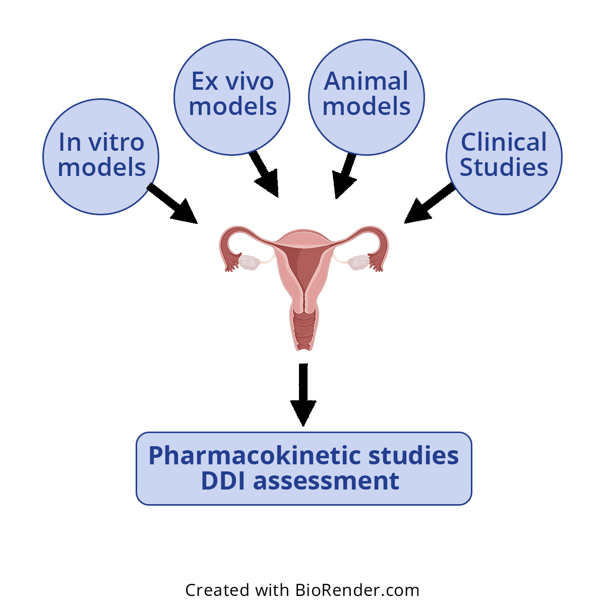 Comprehensive drug–drug interaction studies relevant to the female reproductive tract
