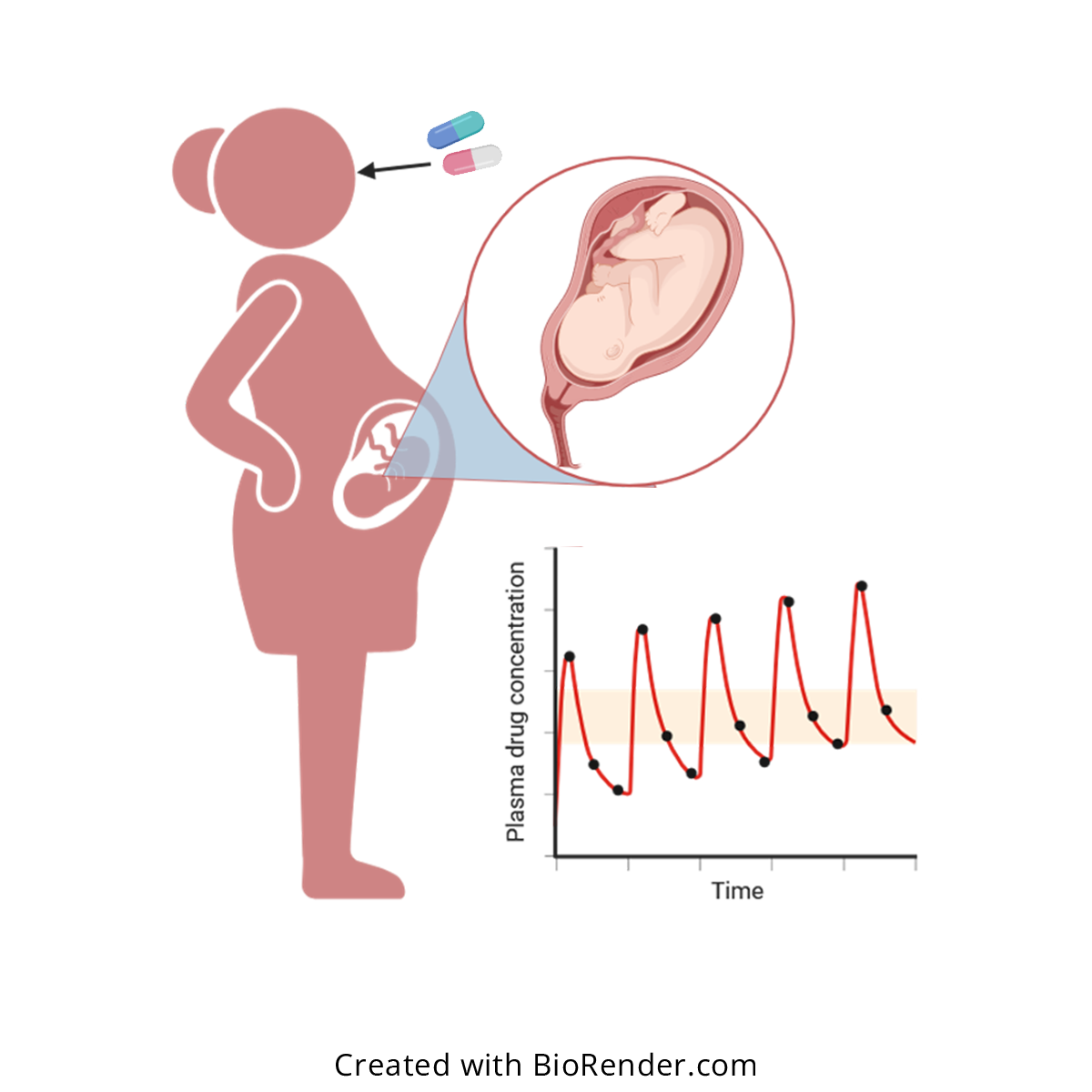 Opioids in pregnancy