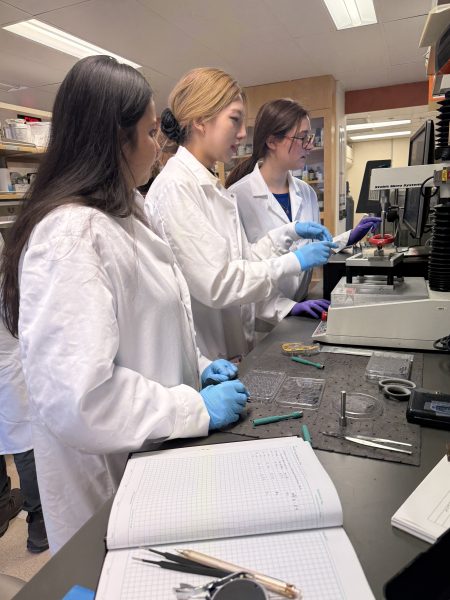 RohanLab2