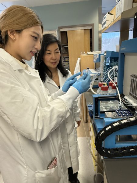 RohanLab4