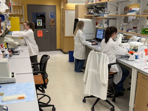 Open format laboratory space in the Center for Clinical Pharmaceutical Sciences Open format laboratory space in the Center for Clinical Pharmaceutical Sciences