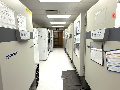 Freezers Freezers