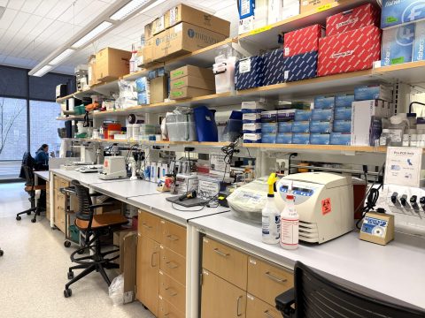 Open format laboratory space in the Center for Clinical Pharmaceutical Sciences Open format laboratory space in the Center for Clinical Pharmaceutical Sciences