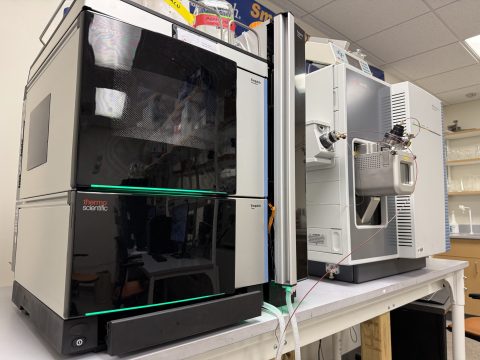 Mass spectrometer used for quantitation of drug and metabolite concentrations Mass spectrometer used for quantitation of drug and metabolite concentrations