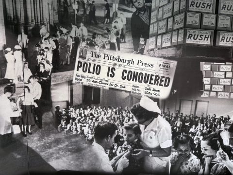 Photo from the Salk Hall museum. The Salk Polio vaccine was developed in our building in 1955. Photo from the Salk Hall museum. The Salk Polio vaccine was developed in our building in 1955.
