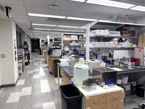 Collaborative lab space Collaborative lab space