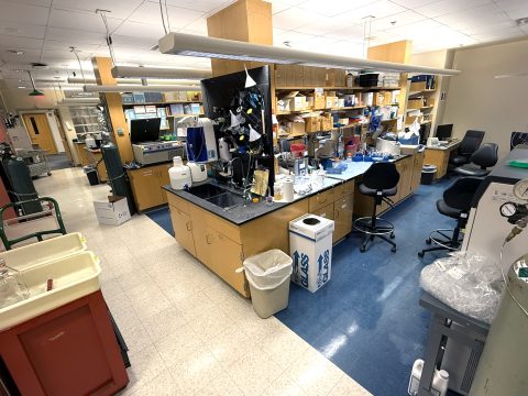 Photo of the CPPF