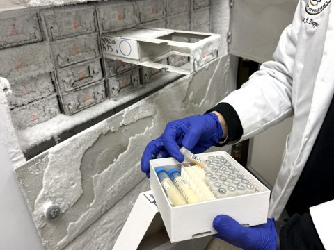 Accessing clinical samples in the -80 freezer